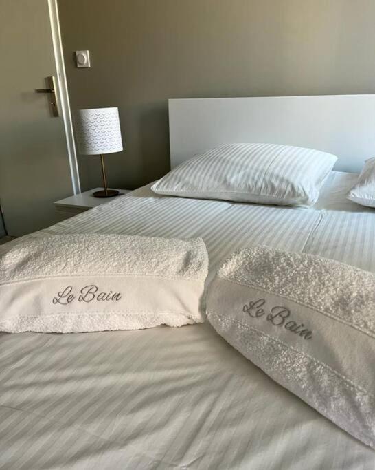 Vigne Et Mer-Spacieux Appartement Haussmannien-2Chambres-Wifi Безие Екстериор снимка