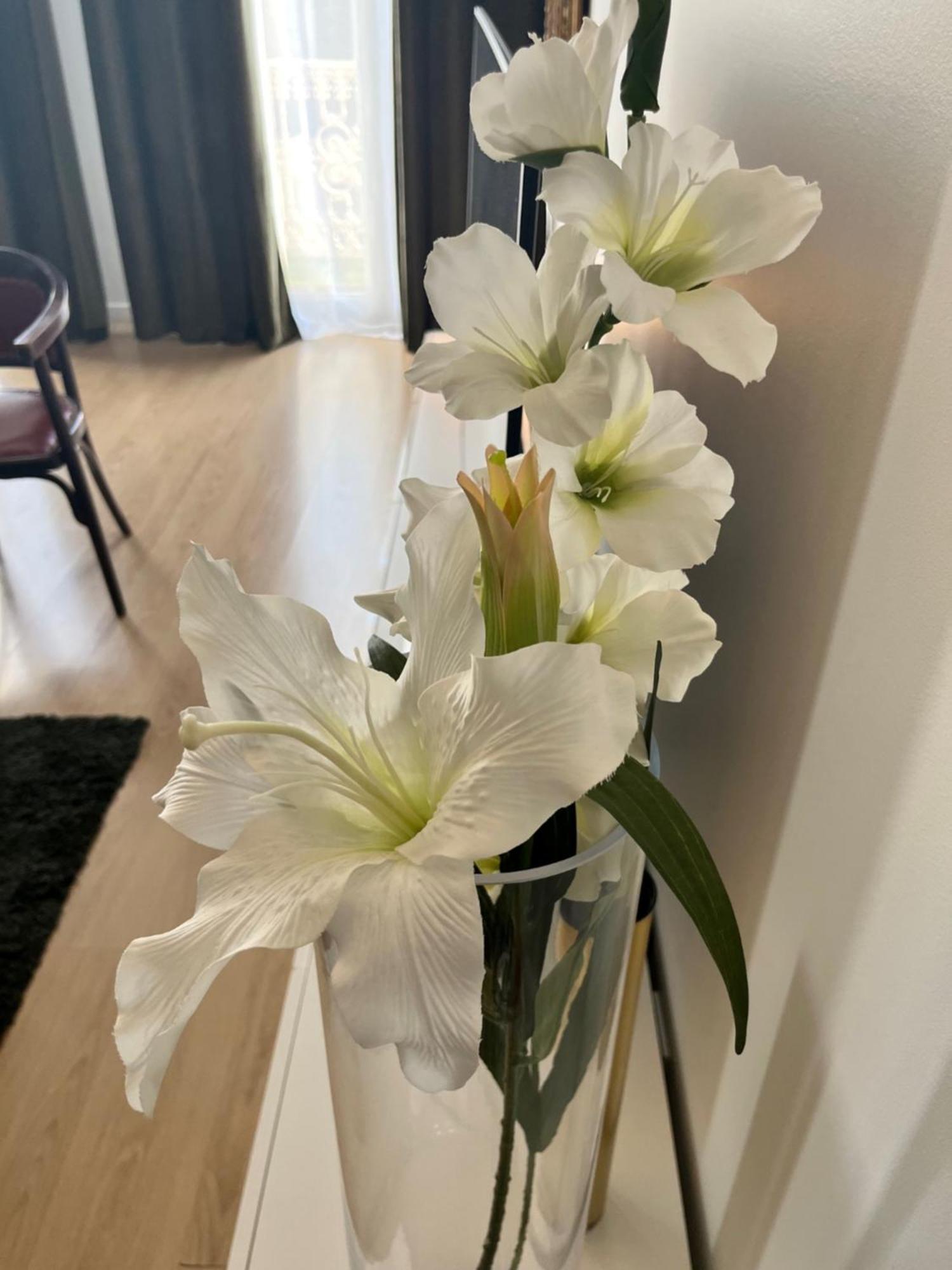 Vigne Et Mer-Spacieux Appartement Haussmannien-2Chambres-Wifi Безие Екстериор снимка